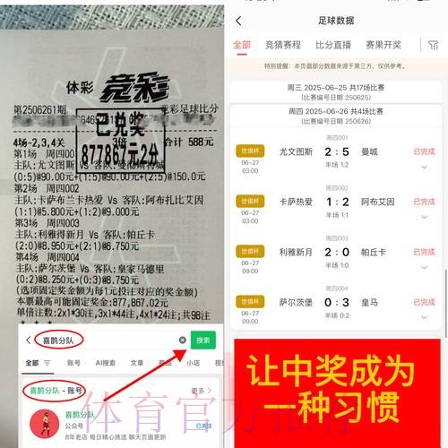 深入探讨世界杯下注平台的安全性分析 深入探讨世界杯下注平台的安全性分析